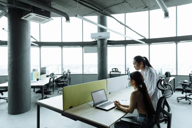 Your Team Is Not a Machine: The Energy Management Playbook High-Performance Project Leaders Swear By